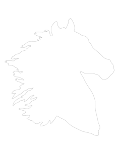 Horse Head Silhouette Kids Tracing Shape Pdf, Free Vectors File